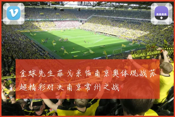 金球先生菲戈亲临南京奥体观战苏超精彩对决南京常州之战